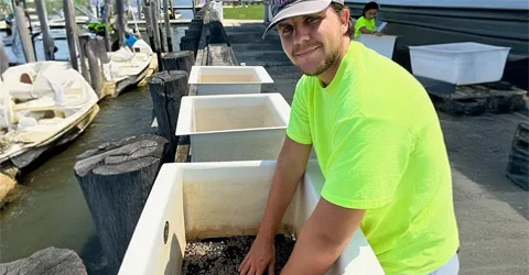 ACT employee going through bins of oysters