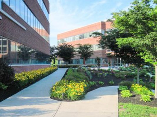 building with landscaping